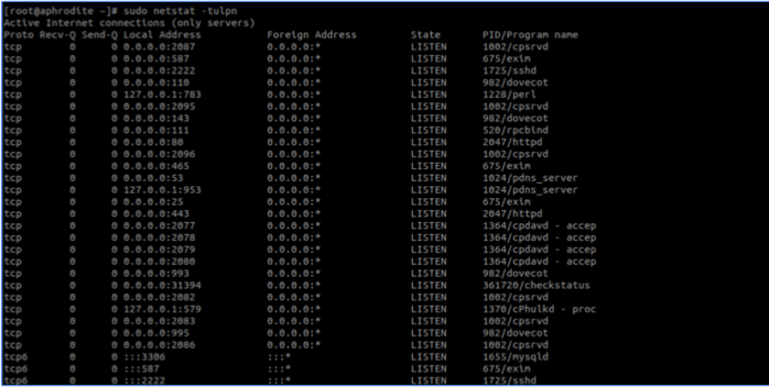 如何在Linux服務(wù)器中實時觀察 TCP 和 UDP 端口？.png