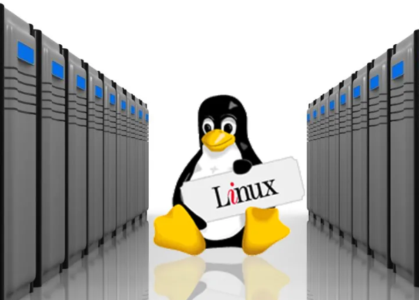 linux服務(wù)器查看ip、端口、內(nèi)存的方法.png